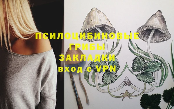 тгк Абдулино