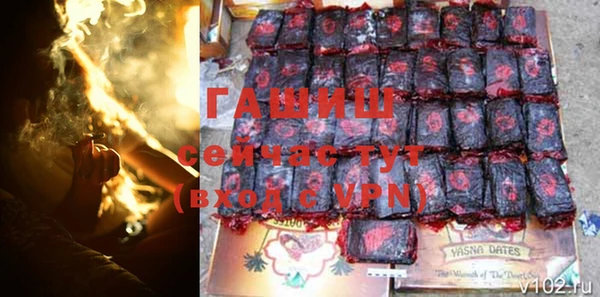 прущие грибы Абинск