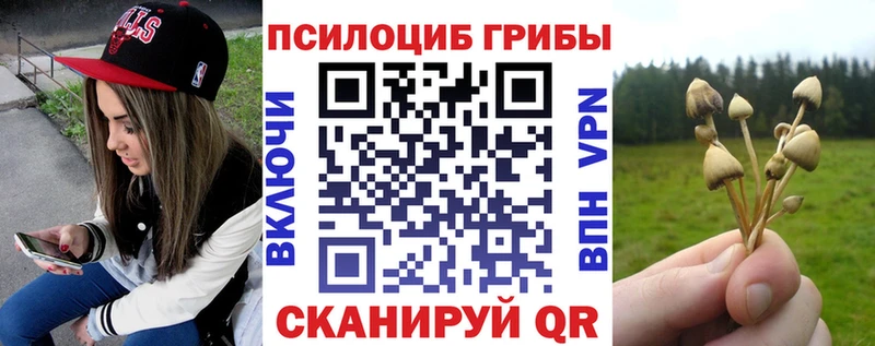 Галлюциногенные грибы MAGIC MUSHROOMS  Тольятти 