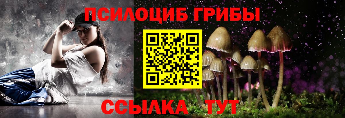 Галлюциногенные грибы Psilocybe  Вход с VPN  Тольятти 